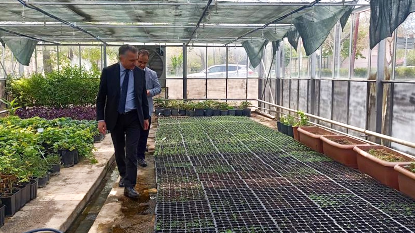 Selçuk Üniversitesinde yıllık ortalama 65 bin bitki üretiliyor